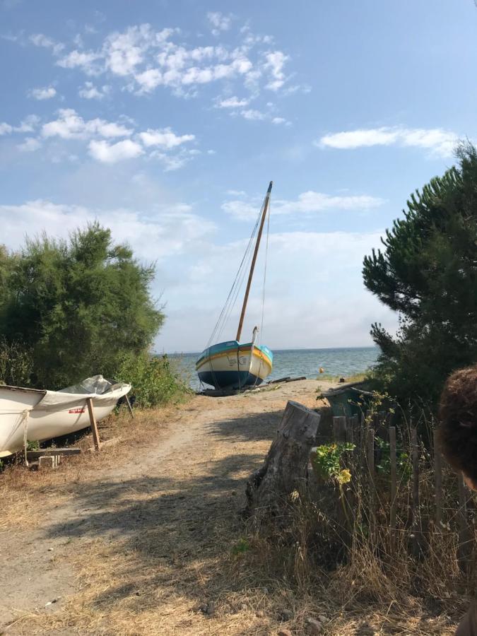 Le Gite Des Tontons Saint-Laurent-de-la-Salanque Esterno foto